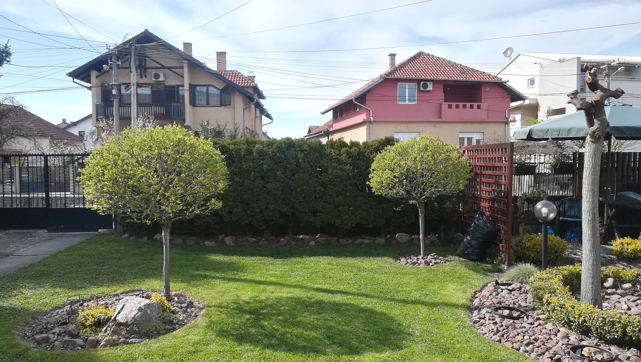 Uređen travnjak sa oblikovanim drvećem